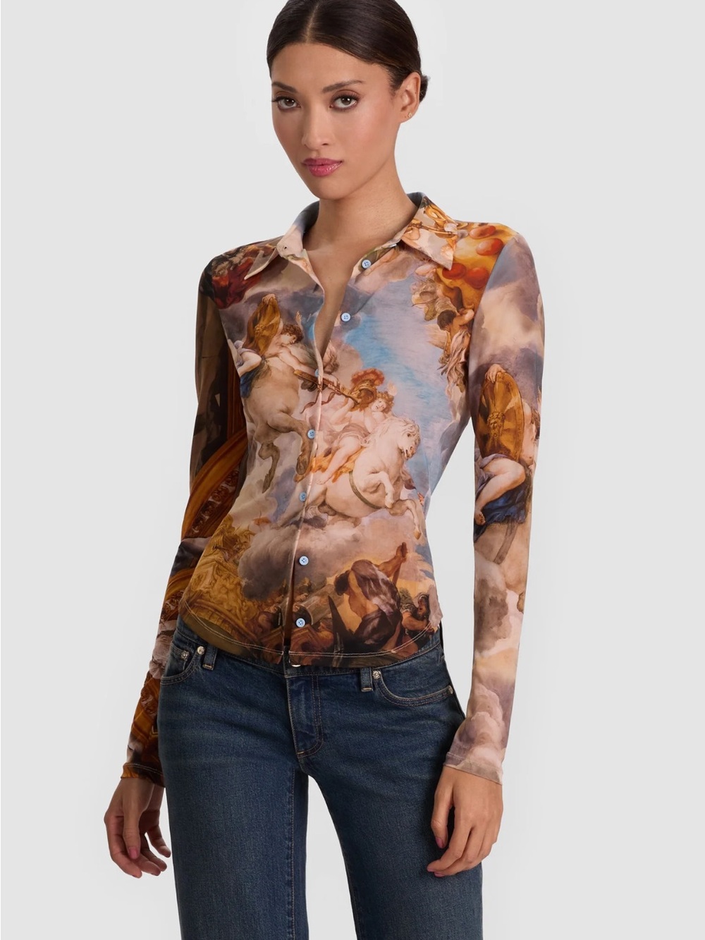Alice & Olivia Mesh Jade Blouse In Renaissance Fair Old World Motif NWT Sz Large